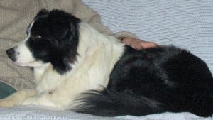 Picture 027